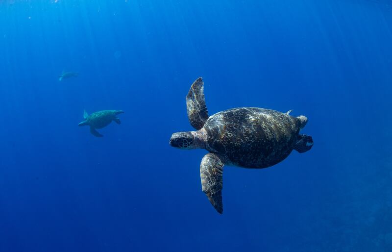 ENG_ENV_PacificExpedition_05262023.1.jpg
