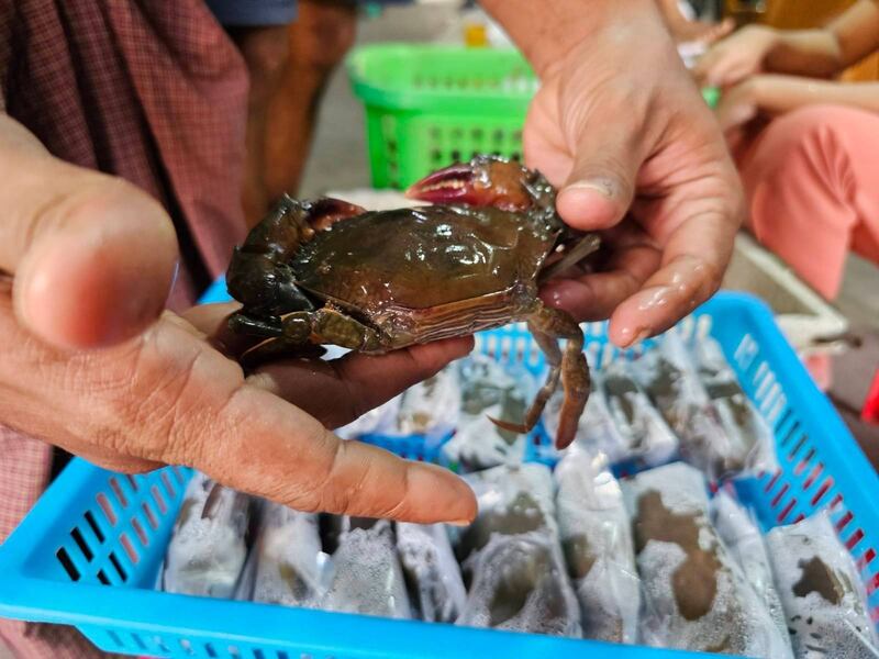 လပွတ္တာမြို့မှ ကဏန်းအဝယ်ဒိုင်များအား ၂၀၂၄ခုနှစ်၊ ဧပြီလ ၄ ရက်နေ့က တွေ့ရစဉ်။ (Photo: RFA)