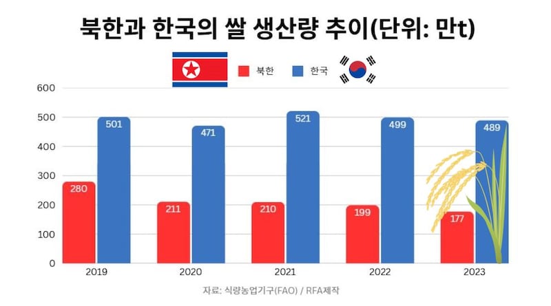 유엔 식량농업기구에 따르면 2023년 북한의 쌀 생산량은 177만 톤으로 한국(489만 톤)의 약 36%에 불과했다.