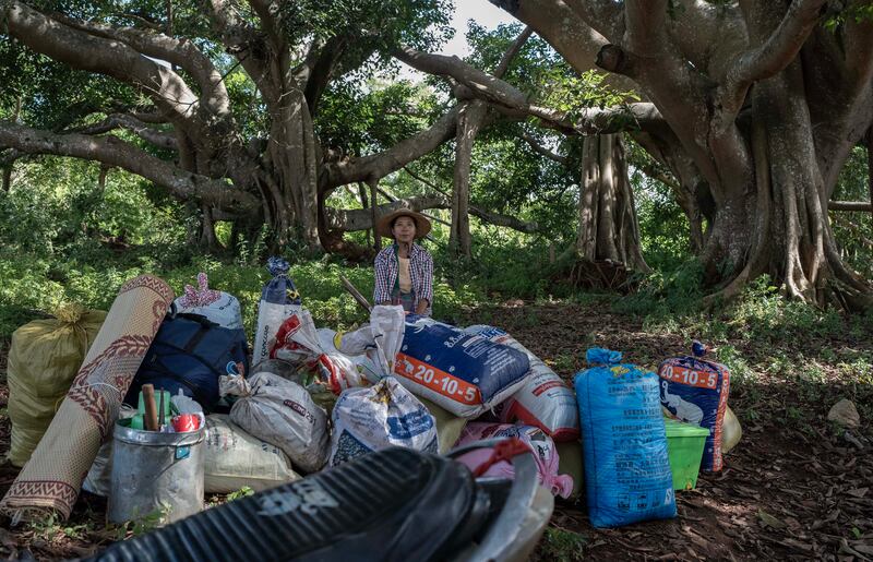 Than Aye, 54, sits in the shade of a giant banyan tree among several bags of freshly harvested rice after being dropped off from a KNDF-supplied truck in South Shan state, Myanmar, Oct. 30, 2024.
