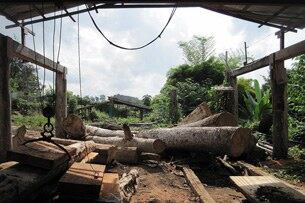 ຕົວຢ່າງ ທີ່ມວນມະນຸດ ທໍາລາຍ ໂຕເອງ ໃຫ້ດັບສູນໄປ ຈາກຜືນໂລກນີ້