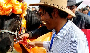 ཨ་མདོ་ཀན་ལྷོ་རྨ་ཆུའི་གླིང་གི་རྟ་རྒྱུགས་ཆེན་མོ། ཨ་མདོ་ཀན་ལྷོ་རྨ་ཆུའི་གླིང་གི་རྟ་རྒྱུགས་ཆེན་མོ།