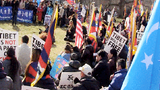 བོད་མི་ཚོས་ཞི་ཅིན་ཕིང་ལ་ངོ་རྒོལ།