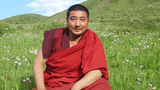 གྲྭ་འཇིགས་མེད་རྒྱ་མཚོ།