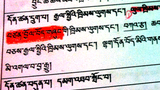 བཙན་བྱོལ་བོད་གཞུང་དང་བཙན་བྱོལ་བོད་མིའི་གཞུང་གི་ཁྱད་པར།