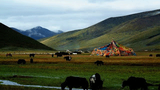 བོད་ཀྱི་འབྲོག་རྭ།