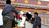 ཕེབས་བསུའི་གྲ་སྒྲིག་ཞུ་བཞིན་པ།