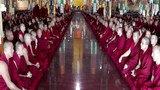 བྷེལ་ཀོབ་བོད་མིའི་གཞིས་ཆགས་སུ་ཆོ་འཕྲུལ་སྨོམ་ལམ་ཚོགས་གནང་བ།