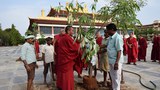 ཤིང་སྣ་འདྲ་མིན་འདེབས་འཛུགས་ཀྱི་ལས་གཞི།