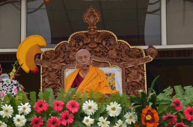 བོད་མི་ནང་ཁུལ་རྡོག་རྩ་གཅིག་དྲིལ་དགོས།