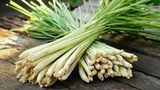Lemon grass ཞེས་པའི་སྨན་རྩ་འདེབས་ཀྱིས་སྨན་རྩའི་སྣུམ་ཁྱོན་ཆེ་སྡེབས་ཚོང་།
