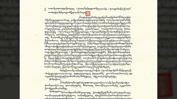 བོད་རང་བཙན་ཡིན་པའི་ཡོངས་ཁྱབ་བསྐྱར་ནན་གསལ་བསྒྲགས་མཛད་དེ་ལོ་ངོ་༡༡༠འཁོར་བ།