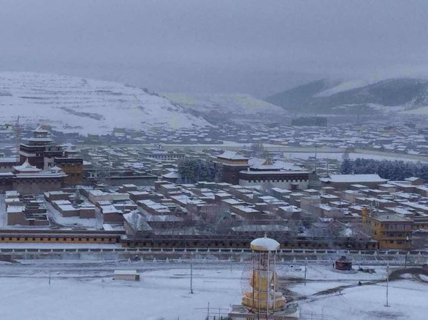 བོད་ནང་རྒྱ་མིའི་ཟ་ཁང་ཞིག་ནས་ཁྱི་ཤ་ཐོན་ཡོད་པ།
