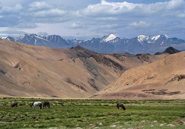 ལ་དྭགས་བྱང་ཐང་གི་ངོ་སྤྲོད།