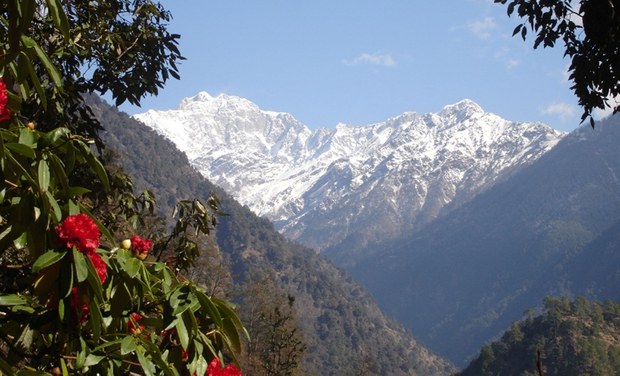 བོད་དང་ཧི་མ་ལ་ཡའི་ནགས་ཚལ་སྲུང་སྐྱོབ་བྱེད་དགོས། བོད་དང་ཧི་མ་ལ་ཡའི་ནགས་ཚལ་སྲུང་སྐྱོབ་བྱེད་དགོས།