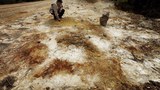 རྒྱ་ནག་ཏུ་ས་ཞིང་འབགས་བཙོག