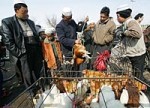 CHINA_BIRD_FLU_CHICKEN_200.thumb.jpeg