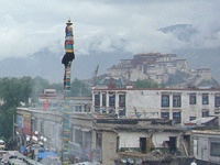 smoky-lhasa-200.gif smoky-lhasa-200.gif