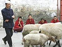 chinese-in-tibet-200.jpg chinese-in-tibet-200.jpg