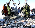 tibet-ice-fishing-150.jpg tibet-ice-fishing-150.jpg