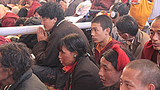 བོད་མི་ཆོས་ཞུ་བར་སློབ་གསོ།