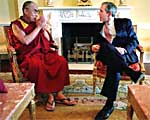 hhdl-bush-150.jpg hhdl-bush-150.jpg