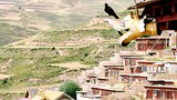 བཙོན་ཁང་ནང་འདས་གྲོངས།