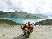 lake-200.jpg lake-200.jpg