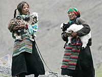tib-nomad-girl-200.jpg tib-nomad-girl-200.jpg
