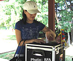 tendol-voting-150.jpg tendol-voting-150.jpg