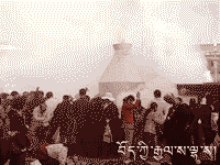 amdo-lhasa-celebrate-200.gif amdo-lhasa-celebrate-200.gif