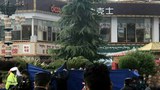 བོད་ཀྱི་རྒྱལ་ས་ལྷ་སའི་ནང་བོད་མི་ཞིག་གི་རང་སྲོག་བཅད་པའི་གནས་ཚུལ།