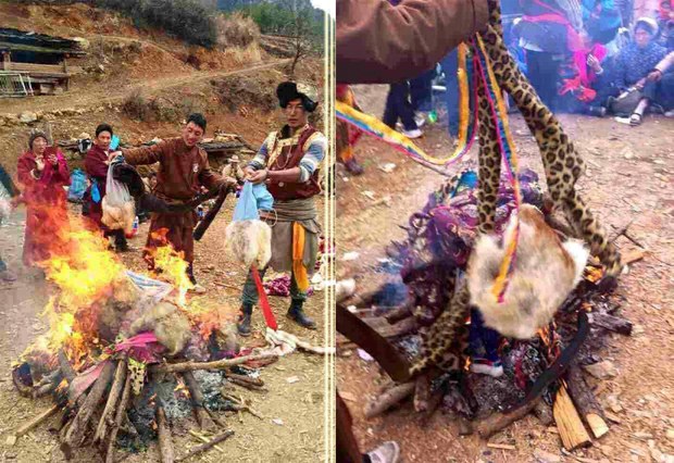 བདེ་ཆེན་ཕྱོགས་སུ་གཅན་གཟན་པགས་རིགས་ཀྱི་རྒྱན་གོས་མེར་བསྲེཊ་སྐབས། ༢༠༡༥།༢།༢༨