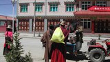 གསེར་རྟའི་ནང་ས་ཆ་གཞུང་བཞེས་རྗེས་འཛུགས་སྐྲུན་ལས་གཞི།