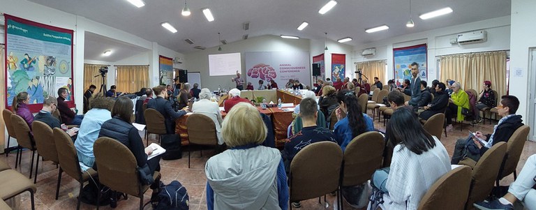 Animal Consciousness Conference (1).jpg