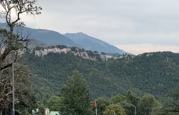 བོད་ཀྱི་ཟློས་གར་ཚོགས་པའི་ནང་མི་གྲངས་༣༤་ལ་ཏོག་དབྱིབས་རིམས་ནད་ཀྱི་ནད་རྟགས་ཐོན་འདུག