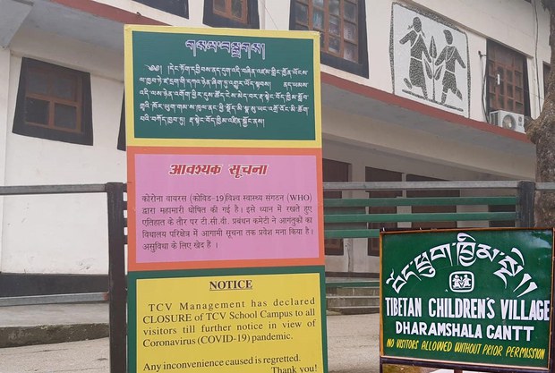 རྡ་སྟེང་བོད་ཁྱིམ་སློབ་གྲྭའི་ནང་ཏོག་དབྱིབས་ནད་ཡམས་ཀྱི་ནད་རྟགས་ཡོད་མཁན་ཇེ་མང་དུ་སོང་འདུག