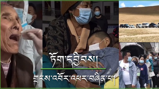 ལྷ་ས་གཙོས་བོད་ཀྱི་ས་ཁུལ་གཞན་གྱི་ནང་ཏོག་དབྱིབས་གྲངས་འབོར་མུ་འཐུད་འཕར་བཞིན་འདུག