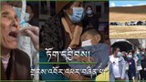 ལྷ་ས་གཙོས་བོད་ཀྱི་ས་ཁུལ་གཞན་གྱི་ནང་ཏོག་དབྱིབས་གྲངས་འབོར་མུ་འཐུད་འཕར་བཞིན་འདུག