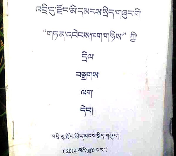 འབྲི་རུ་རྫོང་དུ་༸གོང་ས་མཆོག་གི་གསུང་ཆོས་ཉན་མི་ཆོག་པའི་བཀོད་ཁྱབ།