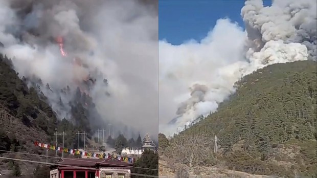 ཉག་ཆུ་རྫོང་གི་རི་མགོའི་ཤིང་ནགས་ཁྲོད་སླར་ཡང་མེ་སྐྱོན་ཤུགས་ཆེན་ཤོར་ནས་མེ་གསོད་མ་ཐུབ་པར་ཉིན་གྲངས་གསུམ་ཙམ་འགྲོ་བཞིན་ཡོད་འདུག ཉག་ཆུ་རྫོང་གི་རི་མགོའི་ཤིང་ནགས་ཁྲོད་སླར་ཡང་མེ་སྐྱོན་ཤུགས་ཆེན་ཤོར་ནས་མེ་གསོད་མ་ཐུབ་པར་ཉིན་གྲངས་གསུམ་ཙམ་འགྲོ་བཞིན་ཡོད་འདུག