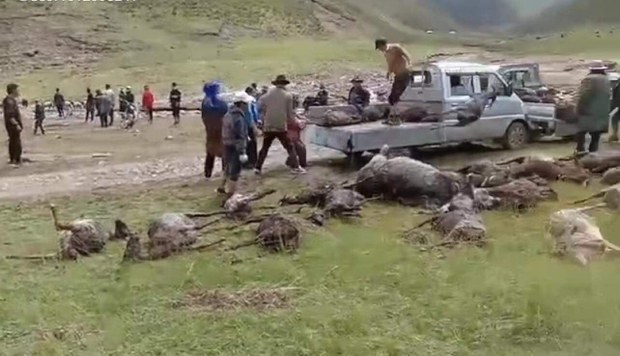 མང་ར་རྫོང་གི་ཆུ་ལོག་གནོད་ཐེབས་ཡུལ་མི་ཚོར་སྲིད་གཞུང་གི་རོགས་སྐྱོར་མེད་པ་དང་བཟའ་ཆས་ཉོ་བར་མི་གཏོང་བ་སོགས་ཀྱི་བཀའ་ངལ་འཕྲད་བཞིན་ཡོད་འདུག མང་ར་རྫོང་གི་ཆུ་ལོག་གནོད་ཐེབས་ཡུལ་མི་ཚོར་སྲིད་གཞུང་གི་རོགས་སྐྱོར་མེད་པ་དང་བཟའ་ཆས་ཉོ་བར་མི་གཏོང་བ་སོགས་ཀྱི་བཀའ་ངལ་འཕྲད་བཞིན་ཡོད་འདུག