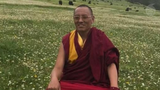 ཆབ་སྲིད་བཙོན་ཟུར་བྲག་མགོ་དགོན་པའི་དགེ་བཤེས་བསྟན་འཛིན་དཔལ་བཟང་ལགས་ནད་གཅོང་རྐྱེན་གྱིས་འདས་གྲོངས་སུ་ཕྱིན་ཡོད་འདུག