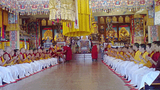 བོད་དོན་ཆེད་རང་ལུས་སྲེག་མཁན་རྣམས་ལ་མཆོད་འབུལ།