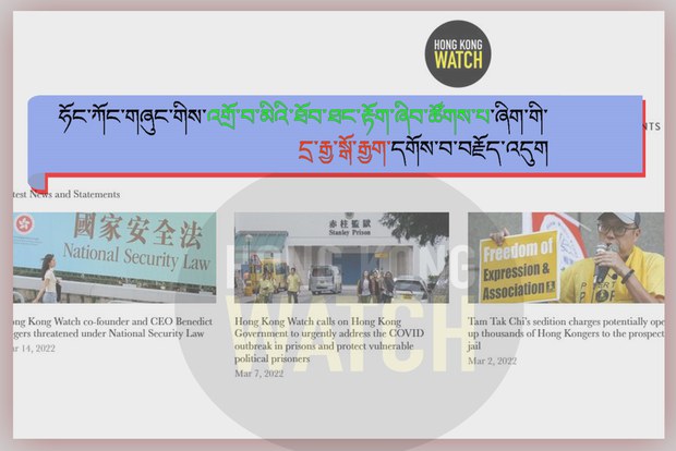 ཧོང་ཀོང་གཞུང་གིས་འགྲོ་བ་མིའི་ཐོབ་ཐང་རྟོག་ཞིབ་ཚོགས་པ་ཞིག་གི་དྲ་རྒྱ་སྒོ་རྒྱག་དགོས་བ་བརྗོད་འདུག