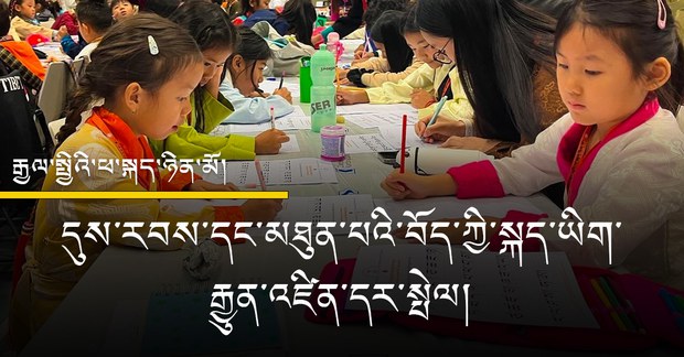 རྒྱལ་སྤྱིའི་ཕ་སྐད་ཀྱི་ཉིན་མོ་དང་བསྟུན་བོད་མི་ཚོས་བོད་སྐད་ཡིག་སྲུང་སྐྱོབ་ཀྱི་ཐབས་ལམ་འདྲ་མིན་བསྟེན་བཞིན་པ།