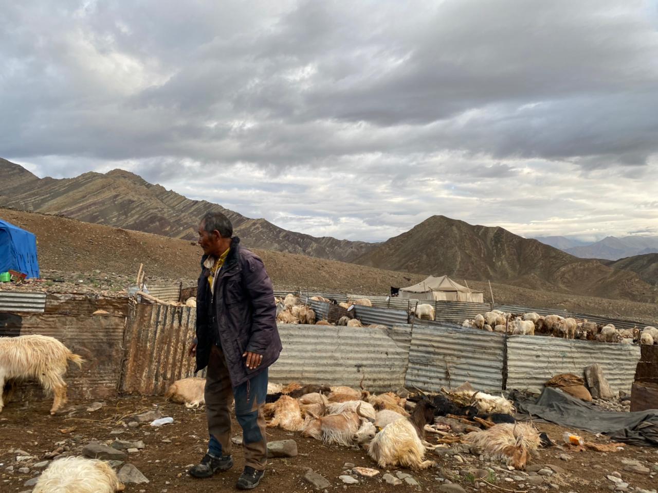 ladakh (2).JPG
