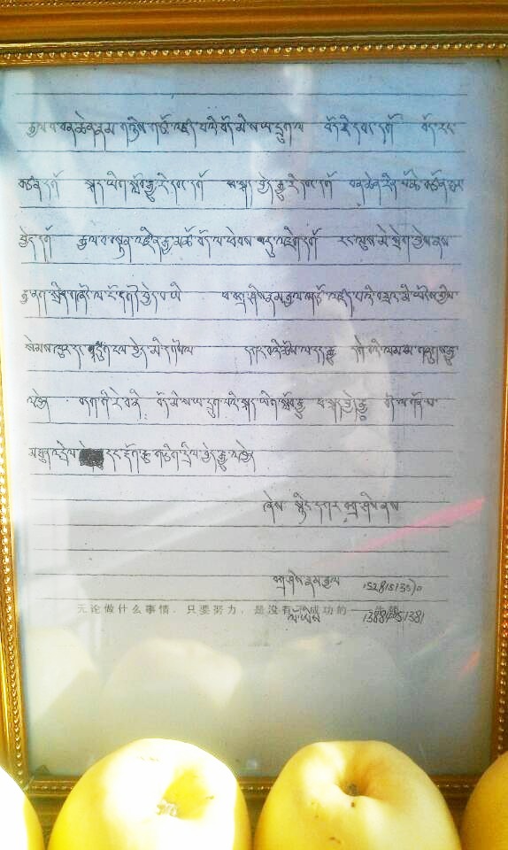 སྙིང་དཀར་བཀྲ་ཤིས་ཀྱི་ཁ་ཆེམས་ཡི་གེ་ལག་བྲིས་མ།