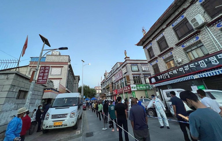 lhasa covid1.jpg