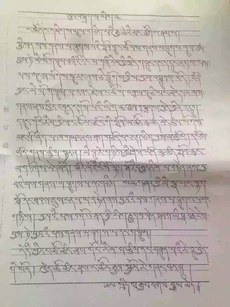 མདོ་ལྷོ་རྨ་ཆུ་རྫོང་དུ་སྤྱི་ཕན་ལས་གནས་དངོས་བསྒྱུར་ཞུ་འབོད་སྐབས། ༢༠༡༦།༤།༨